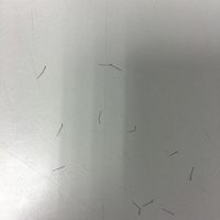 發(fā)際線用戶圖片