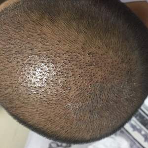 稀少加密分享社区