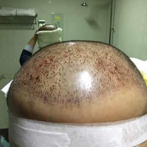 稀少加密分享社区