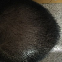 <font color="red">稀少加密</font>用戶圖片
