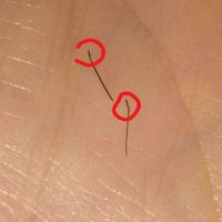 發(fā)際線用戶圖片