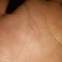 發(fā)際線用戶圖片
