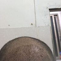 發(fā)際線用戶圖片