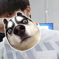 發(fā)際線用戶圖片