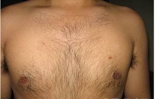 肌肉男茂盛的胸毛图片