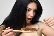 经常性脱发是什么原因  常吃这五种食物能改善