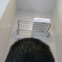 發(fā)際線用戶圖片