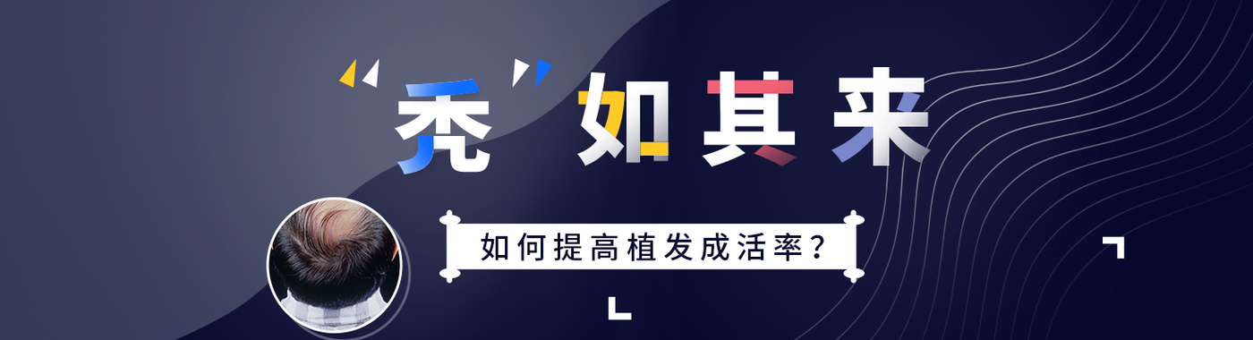 “秃”如其来，如何提高植发成活率？活动图片