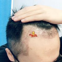 發(fā)際線用戶(hù)圖片