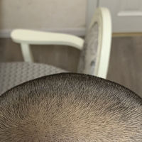 發(fā)際線用戶圖片