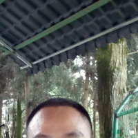 發(fā)際線用戶圖片