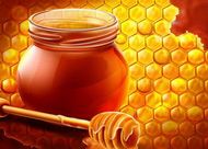 蜂膠對脫發(fā)有用嗎？具體看這六大作用