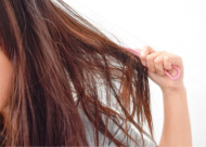 女性掉头发的原因有哪些 脱发吃什么食物能生发
