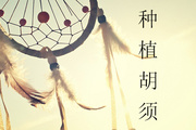 合肥丛生胡须种植技术怎么样 胡须种植适合哪些人