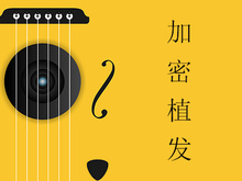 头发加密知识