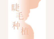 種植睫毛的生長周 睫毛移植手術(shù)可以維持多久