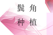 鬓角移植多少钱 鬓角毛发移植术的特点有哪些