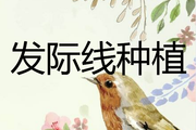 天生发际线就比较高有什么办法可以解决