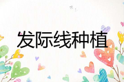 发际线种植后还会再脱落吗