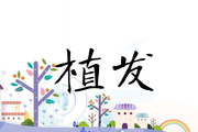 植发所需要的毛囊数量是怎么确定的