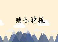 剛生完寶寶之后可以做睫毛種植嗎