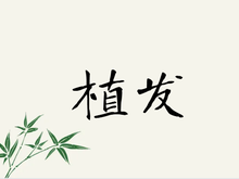 植发知识