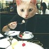 用戶頭像
