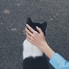 用戶頭像