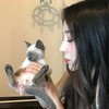 用戶頭像