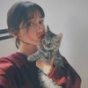 花笺碎